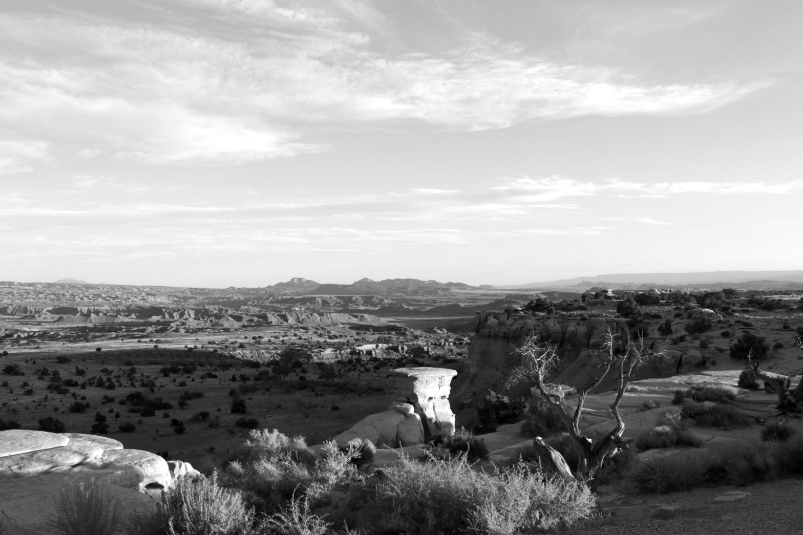 Utah Desert